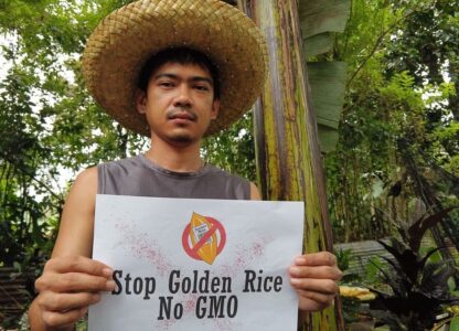 Stop Golden Rice! Network calls to halt GR experimentation and production in the Philippines