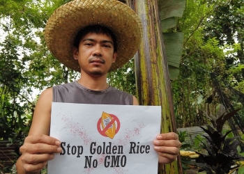 Stop Golden Rice! Network calls to halt GR experimentation and production in the Philippines