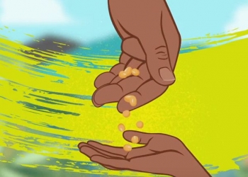 Be among the first to watch Seed Keepers and Truth Tellers, an animation on the global impacts of GMOs