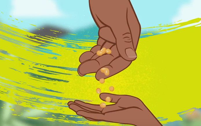 Be among the first to watch Seed Keepers and Truth Tellers, an animation on the global impacts of GMOs