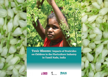 Study: Child labour in India’s floriculture industry expose minors to Highly Hazardous Pesticides
