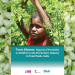 Study: Child labour in India’s floriculture industry expose minors to Highly Hazardous Pesticides