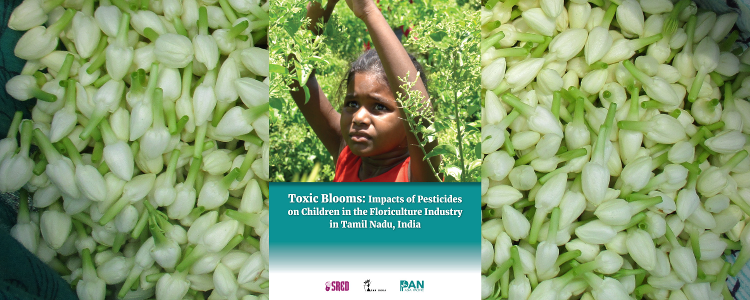 Study: Child labour in India’s floriculture industry expose minors to Highly Hazardous Pesticides