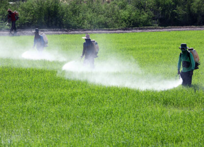 Towards Strong Actions to Phase-Out Highly Hazardous Pesticides