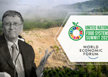 Why is the Food Systems Summit silent on corporate land grabs?