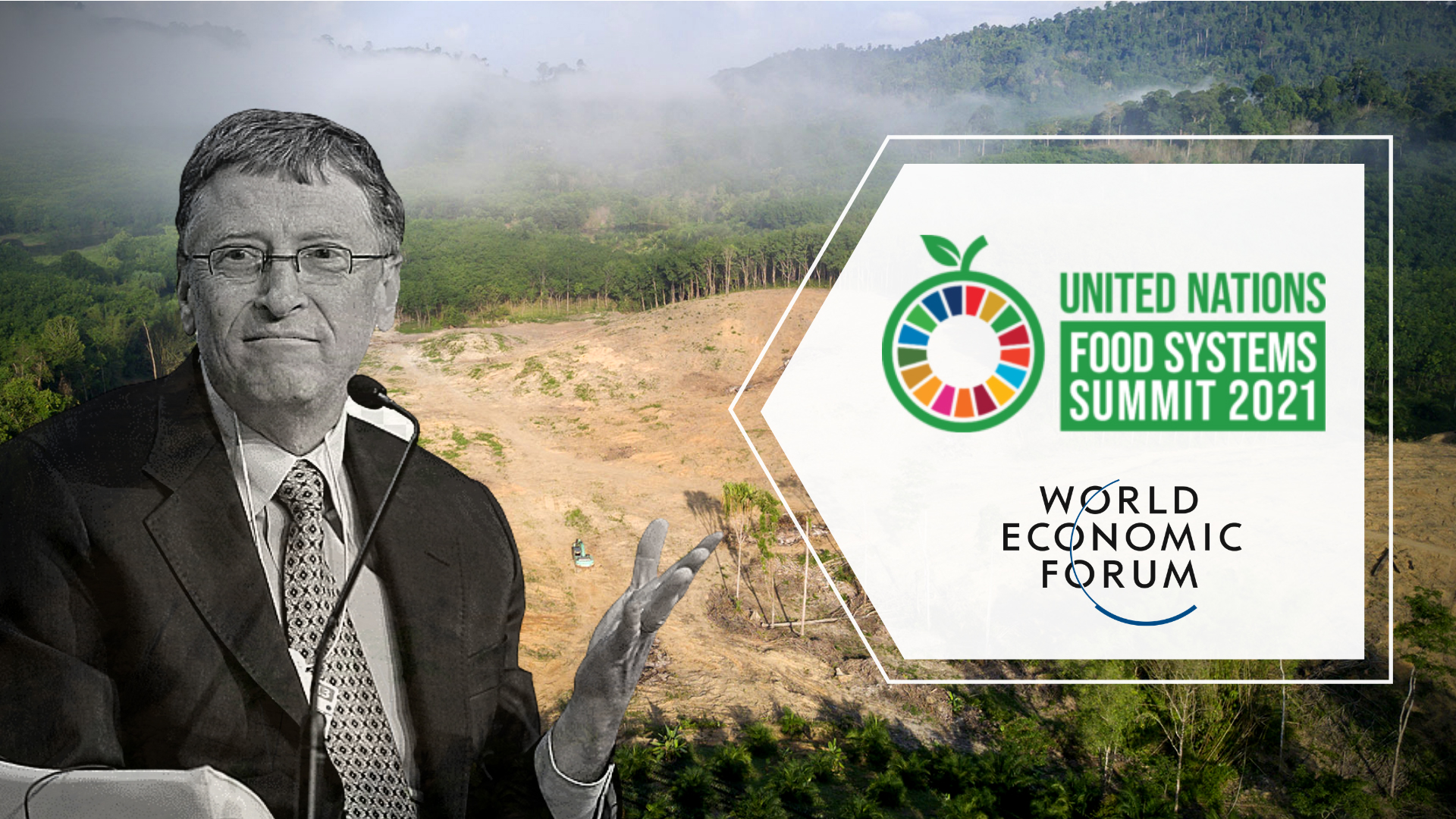 Why is the Food Systems Summit silent on corporate land grabs?