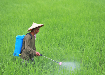 No more excuses: Global network demands phase-out of Highly Hazardous Pesticides by 2030