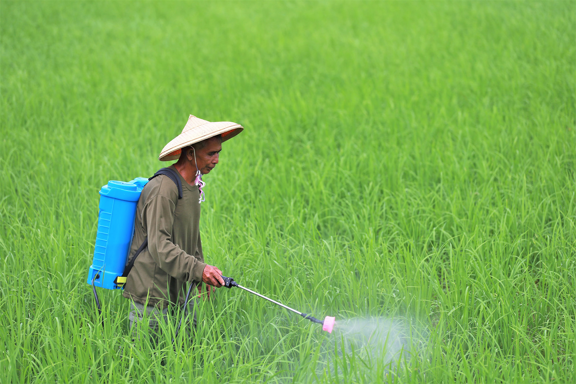 No more excuses: Global network demands phase-out of Highly Hazardous Pesticides by 2030