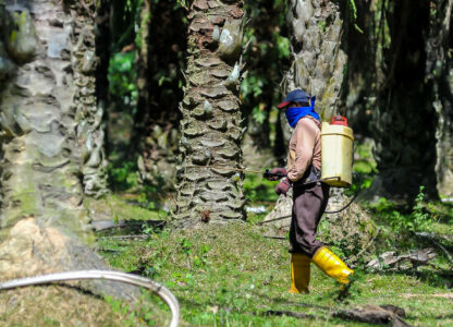 Sri Lanka’s bid to stop palm oil expansion: Victory for the people