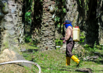 Sri Lanka’s bid to stop palm oil expansion: Victory for the people