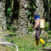 Sri Lanka’s bid to stop palm oil expansion: Victory for the people