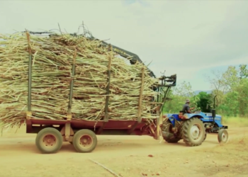 Peasants Rise Up (Sri Lanka): Women struggle to break free from sugar company’s control