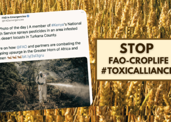 FAO urged to stop use of pesticide toxic to children in desert locust program