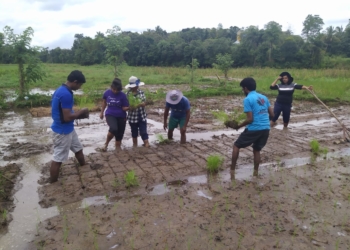 Sri Lanka applauded for life-saving pesticides ban, winning ‘Oscars on Best Policies’
