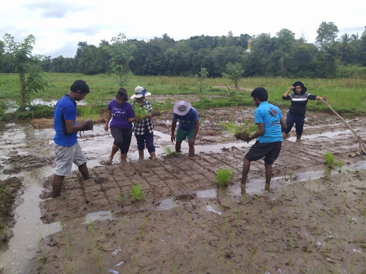 Sri Lanka applauded for life-saving pesticides ban, winning ‘Oscars on Best Policies’