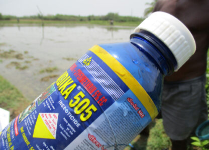 World Environment Day: Ban on child-harming pesticide urged