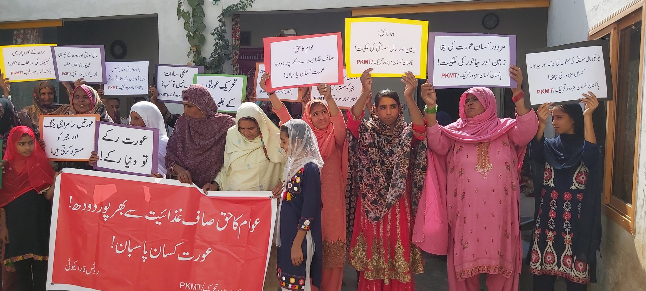 Peasants Rise Up (Pakistan): The oppression of small milk farmers