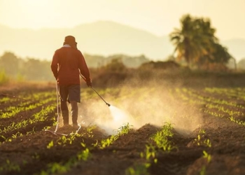 The #ToxicAlliance & the Food Systems Summit