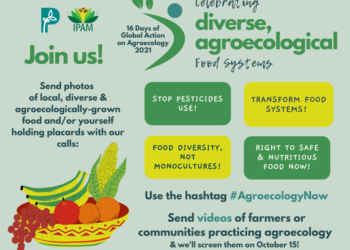 16 Days of Global Action on Agroecology 2021: Celebrating diverse, agroecological food systems