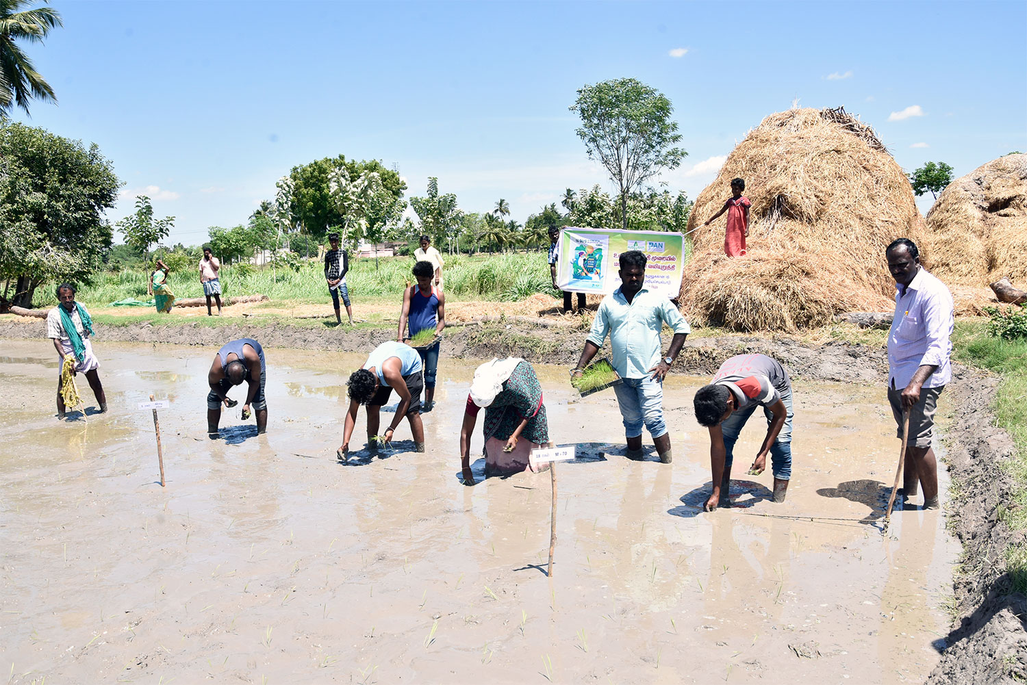 16 Days of Global Action on Agroecology celebrates diverse, agroecological food systems