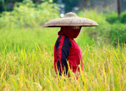 Defend peasant women who feed the world! 