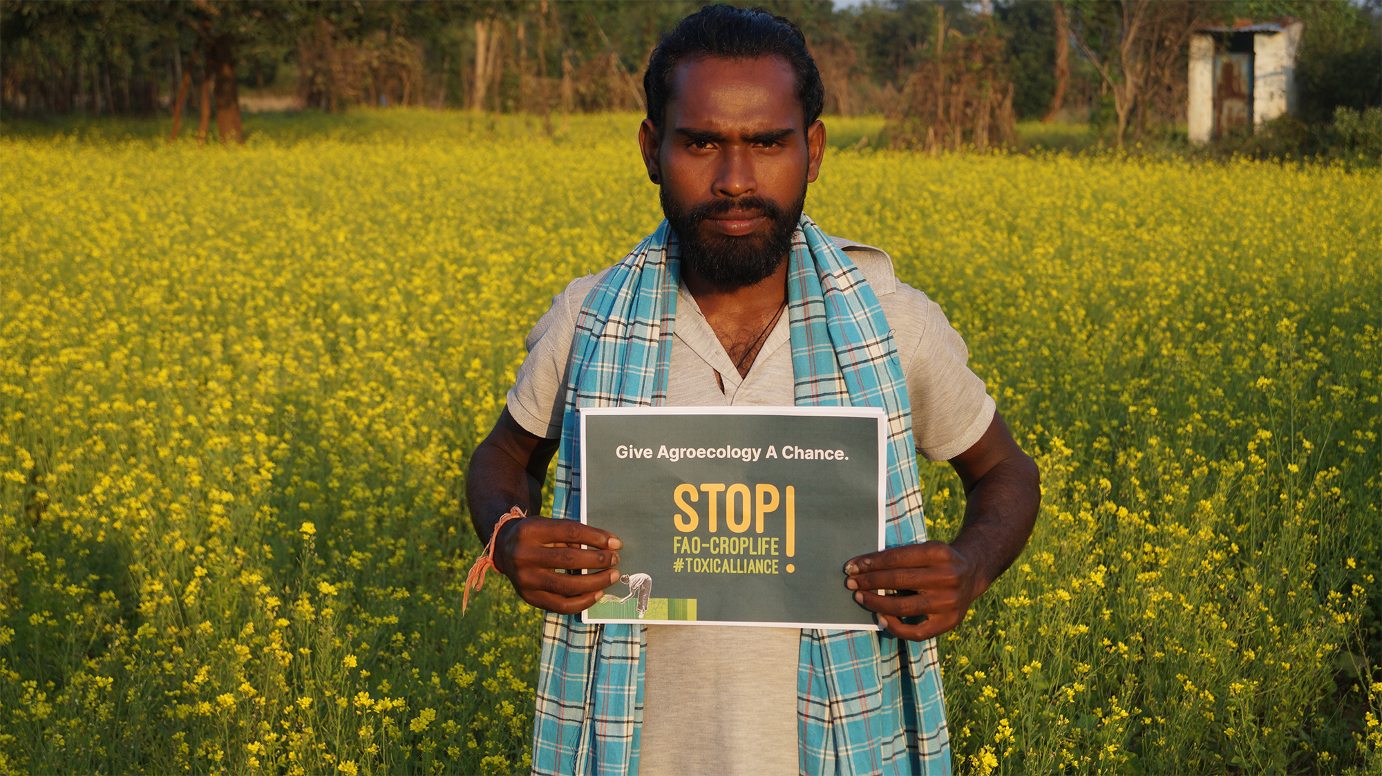 UN FAO urged to abandon controversial pesticide industry partnership: More than 187,300 individuals sign global petition