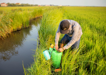 Malaysia should incentivize safer, non-chemical alternatives to pesticides –PANAP