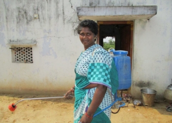 Women, pesticides, and land: Towards gender equality and sustainability