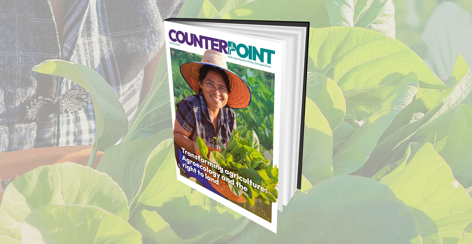 Transforming agriculture: Agroecology and the right to land