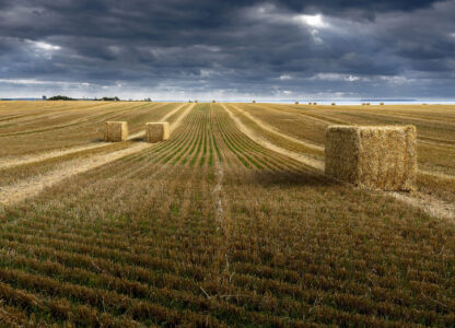 War and hunger: The Ukraine crisis from a food sovereignty lens