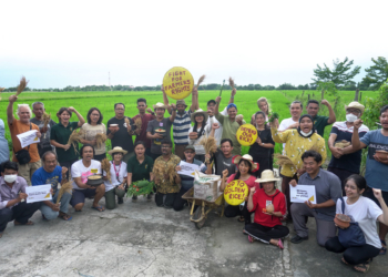 Golden Rice and the push for GMOs won’t solve food crisis, it will make it worse