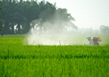 Malaysia commended for ban on chlorpyrifos and carbofuran