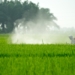 Malaysia commended for ban on chlorpyrifos and carbofuran