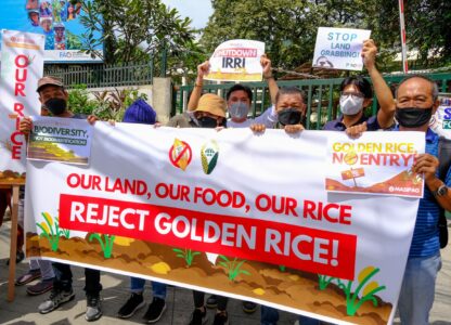 Filipinos aim to stop Golden Rice–and the world’s descent into genetically modified staple food