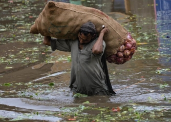 Land monopoly and climate crisis: A look at Asia