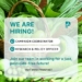 We are Hiring!