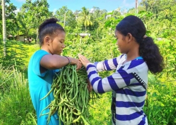 Real Farming Recap: Community resilience in indigenous communities
