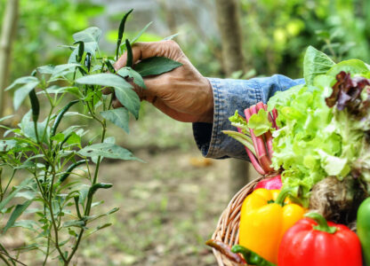 Real Farming Recap: Advancing agroecology policy