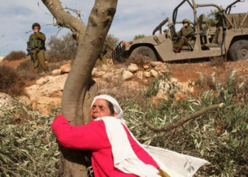 Conflict and the Right to Food: UN rapporteur highlights violence in food systems