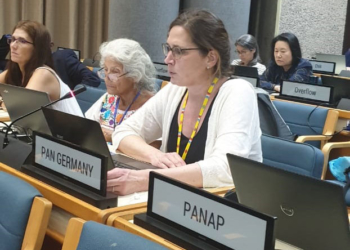 PAN International Closing Statement SAICM IP4.2