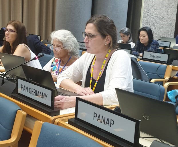 PAN International Closing Statement SAICM IP4.2