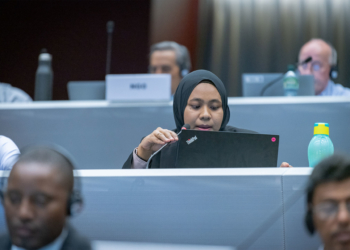 Statement to the Rotterdam Convention COP Plenary concerning paraquat