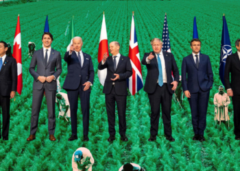 G7 and the corporate agenda in food systems