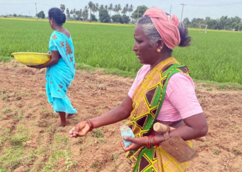 In India, Dalit women struggle for land and rights