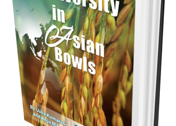 Rice Diversity in Asian Bowls