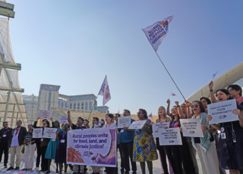 108 organizations from 26 countries call for radical food systems transformation, not false climate solutions