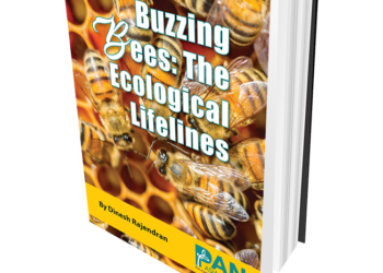 Buzzing Bees: The Ecological Lifelines
