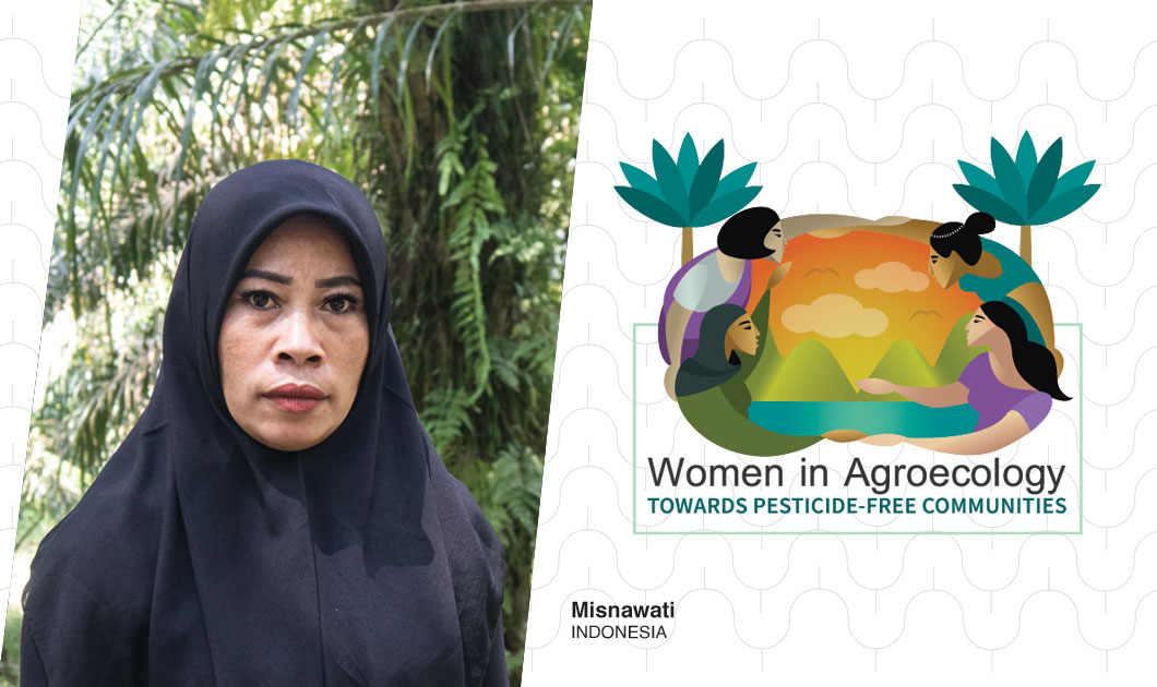 From Pesticide Exposure to Agroecological Wisdom: Misnawati, Indonesia