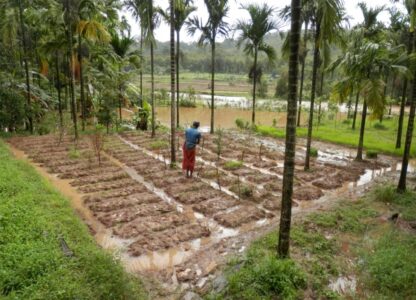 The Future is Now: Resilience and Sovereignty through People-led Agroecology