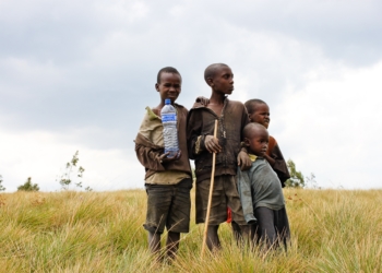 GMOs: Paying Lip Service to Serving Lives